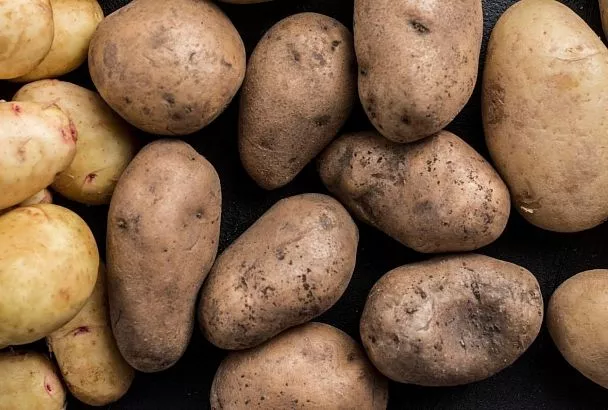 Мордовия возглавила рейтинг регионов с самым дешёвым картофелем