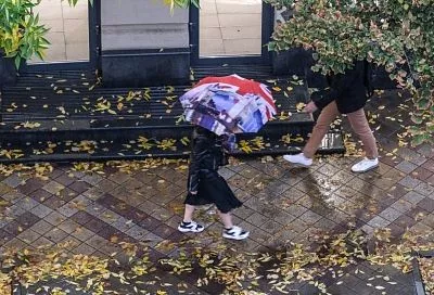 Краснодарцы рассказали, что ожидают от 2026 года в профессиональном плане