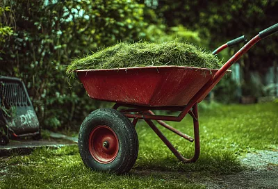 Трава после покоса: 5 способов превратить «мусор» в ресурс