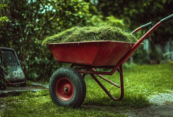 Трава после покоса: 5 способов превратить «мусор» в ресурс