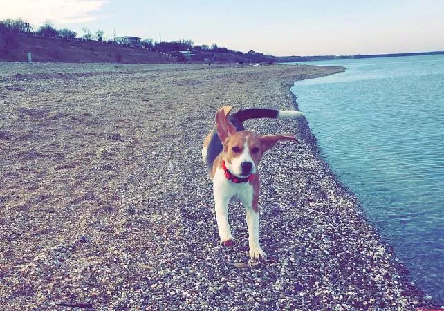 Без названия