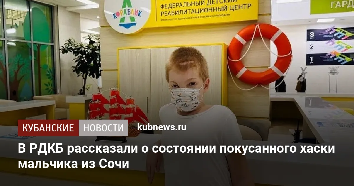 В РДКБ рассказали о состоянии покусанного хаски мальчика из Сочи