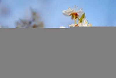 Народные приметы на сегодня – 7 апреля, что можно и нельзя делать в праздник Благовещение Пресвятой Богородицы