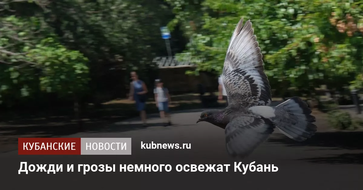 Дожди и грозы немного освежат Кубань