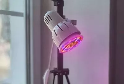 Да будет свет: как выбрать фитолампу для рассады и когда ее включать