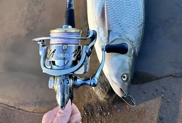 Ловлю «белого» хищника легко: почему джиг бьёт все рекорды ранней весной