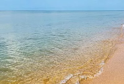 Эксперт Богданов подтвердил активное оживление спроса на отдых в Анапе