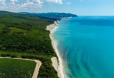 Стало известно о сбитых ночью БПЛА над Краснодарским краем и Черным морем