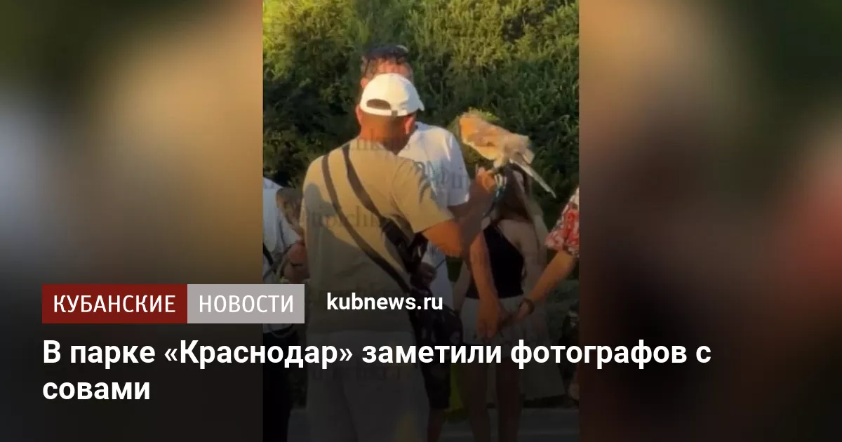 В парке «Краснодар» заметили фотографов с совами