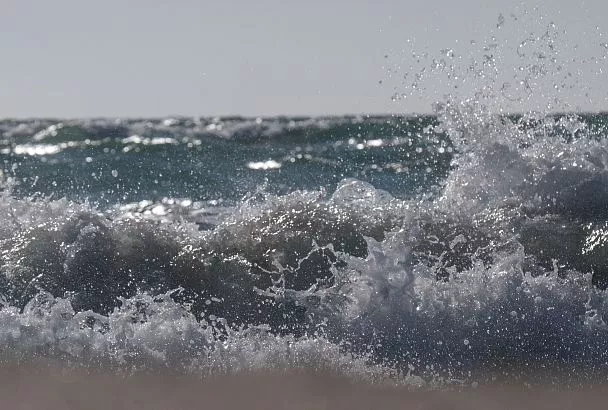 Ученые подтвердили способность Азовского моря самоочищаться 