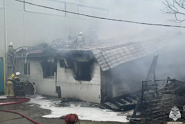 Под Новороссийском сгорела конюшня. Спасены человек и более 20 лошадей