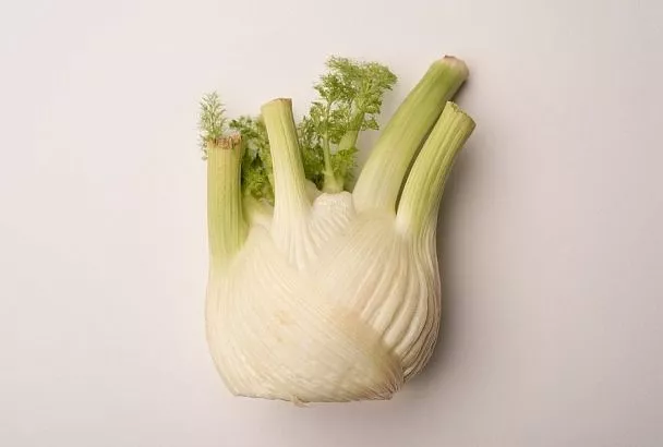 Январь – время сеять сельдерей на рассаду: подумайте об урожае этого полезнейшего продукта уже сейчас и осенью устанете его собирать