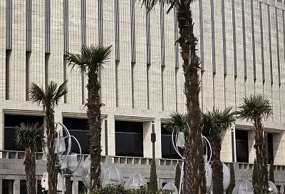 «Скафандры» начали убирать с экзотических растений в парке «Краснодар»