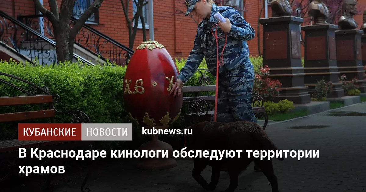 В Краснодаре кинологи обследуют территории храмов