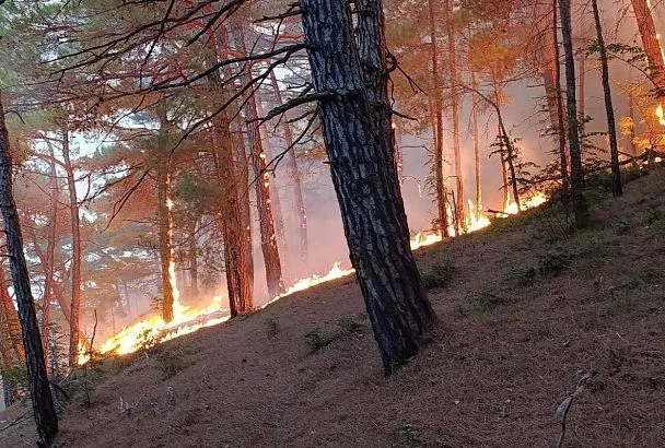 Лесной пожар в Геленджике локализован