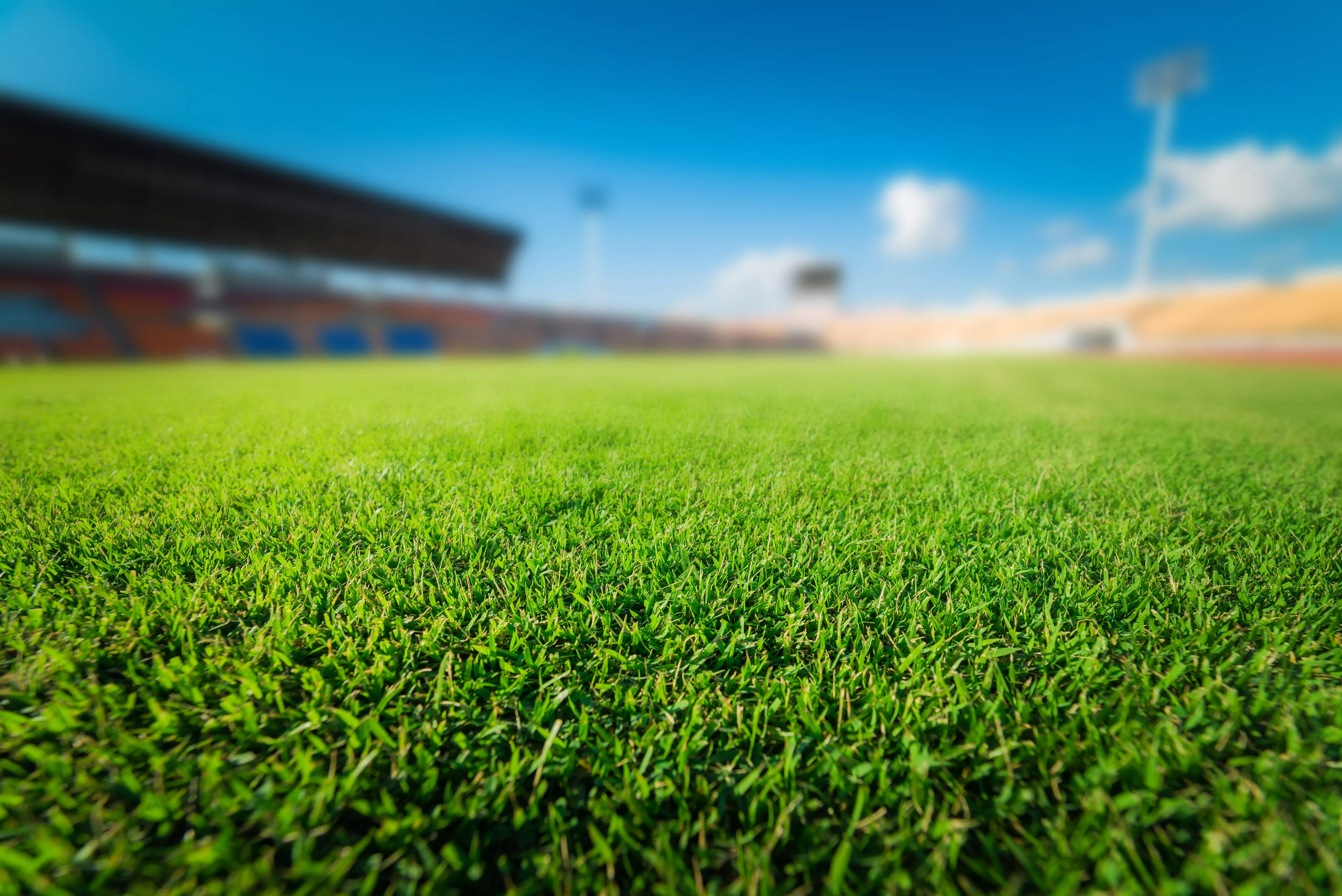 В Новороссийске построят футбольный стадион для матчей Чемпионата России