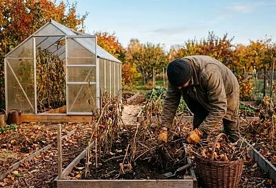 Осенние ошибки на даче: 6 действий, которые вредят огороду