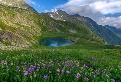 В Краснодарском крае за четыре года благоустроили 700 дворов и скверов