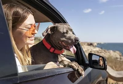 Часто проблемой для путешествия с питомцем становится поиск отеля