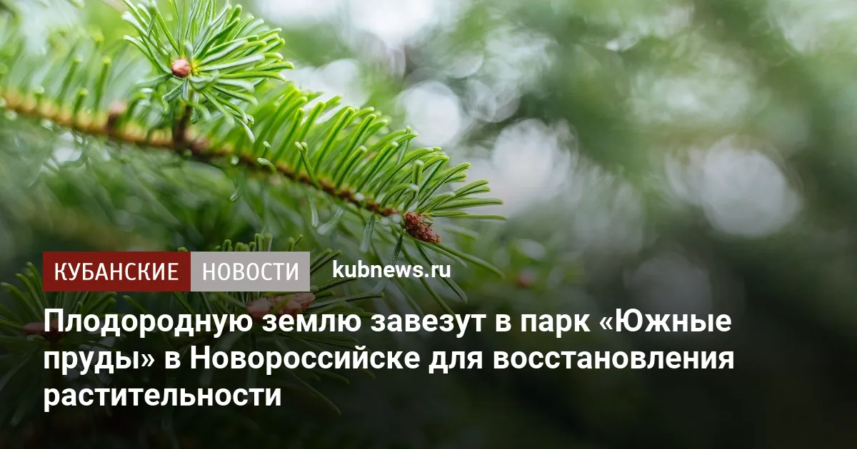 Плодородную землю завезут в парк «Южные пруды» в Новороссийске для восстановления растительности