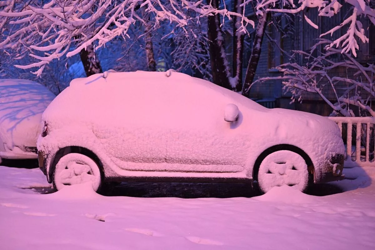 Краснодар 21 января