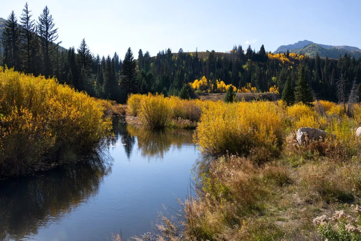 Сибирская вода для юга: в РАН оценили перспективы старого проекта переброски рек