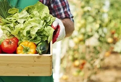 Лунный календарь с 16 по 22 августа: собираем урожай и кое-что даже сажаем