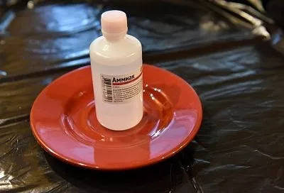 Это просто чудо какое-то: 5 способов использовать в саду и огороде нашатырный спирт