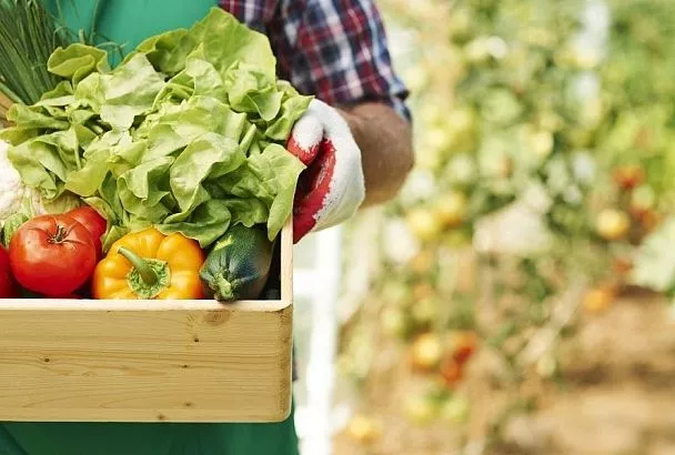 Лунный календарь с 16 по 22 августа: собираем урожай и кое-что даже сажаем