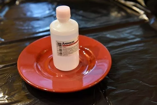 Это просто чудо какое-то: 5 способов использовать в саду и огороде нашатырный спирт