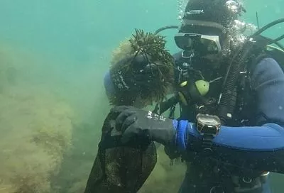 Краснокнижные виды водорослей обнаружили ученые в Черном море у берегов Анапы