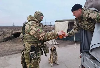 Более ста тонн гуманитарной помощи собрали кубанские казаки за две недели