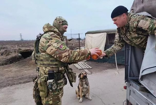 Более ста тонн гуманитарной помощи собрали кубанские казаки за две недели
