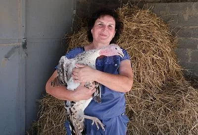 Одна семья – одно дело: как фермеры Лабинского района расширяют свой бизнес 