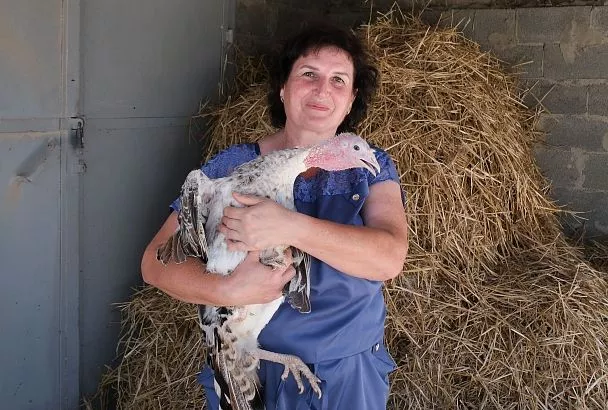 Одна семья – одно дело: как фермеры Лабинского района расширяют свой бизнес 