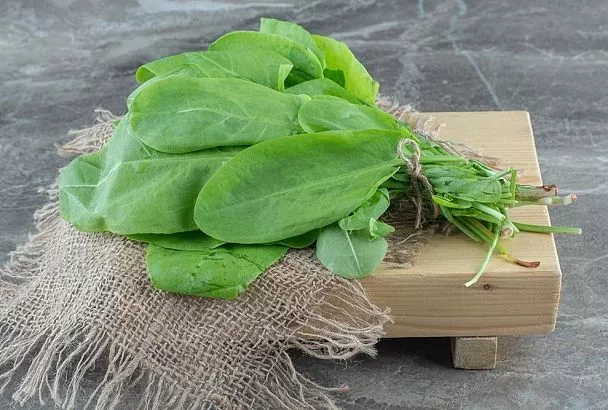 Ледяной суп из щавеля: главный тренд жары 2025 — рецепт от «Русской кухни»