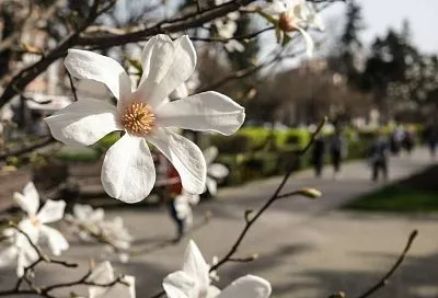 Сочи и Краснодар вошли в топ-10 популярных направлений для поездок на майские праздники