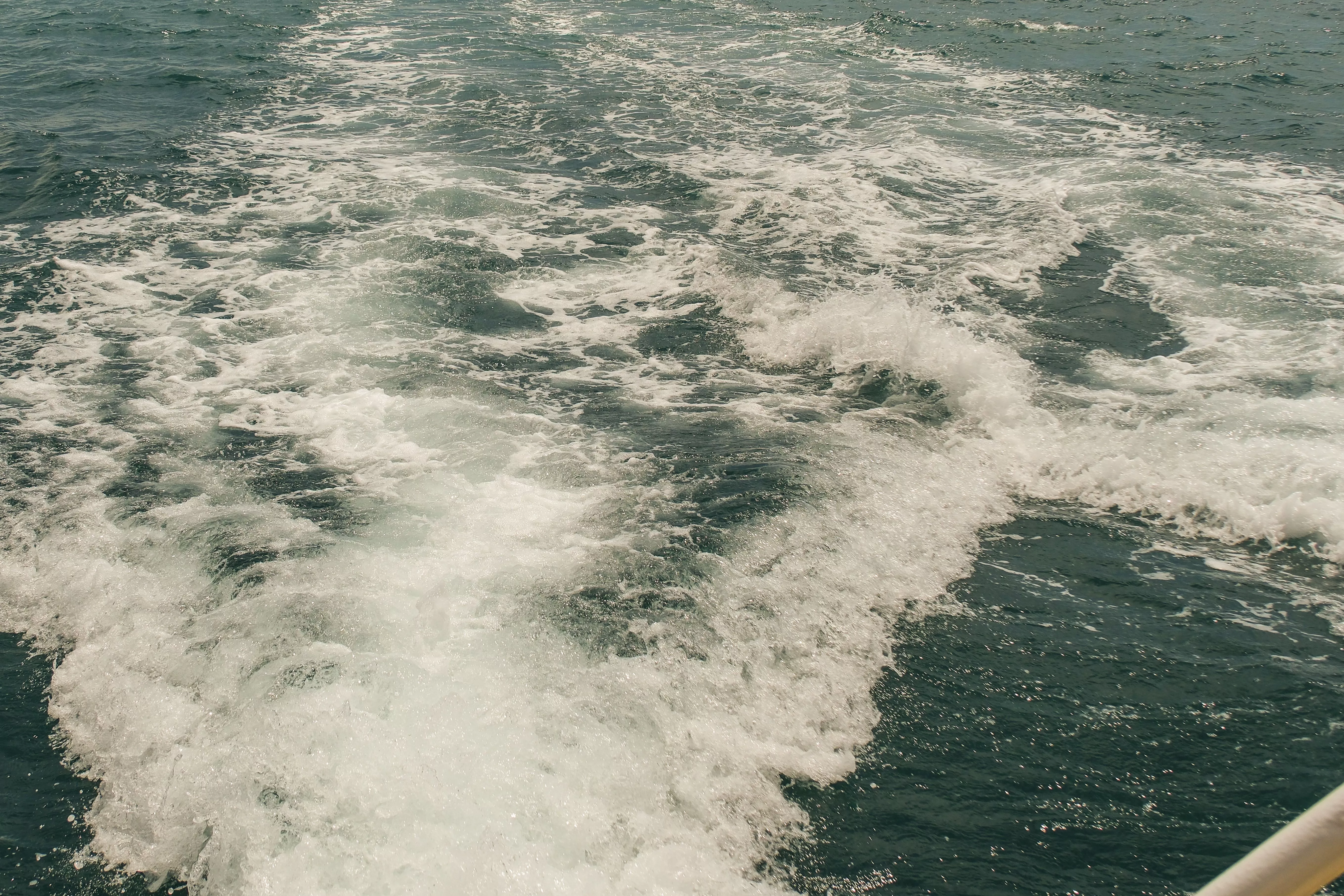 Севастополь и Занзибар начнут совместную подготовку моряков на Черном море 