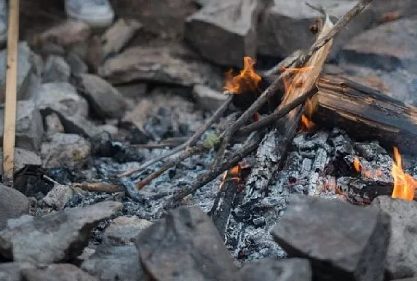 Не так уж и полезна, как нам говорят: оказывается, зола может погубить растения
