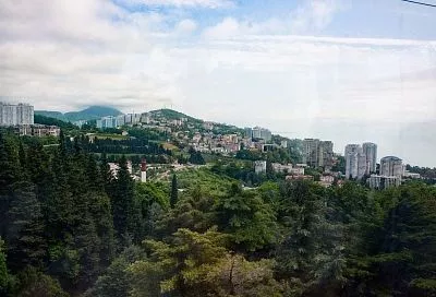 Рынок переуступок в Сочи за год сократился на 85%