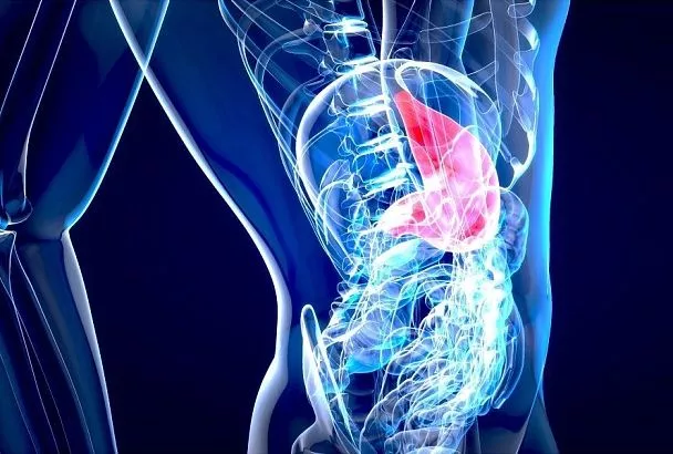 Кислоты мало — пользы тоже: токсиколог назвал продукты, которые помогут желудку работать