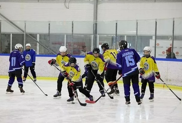 Клюшки на лед