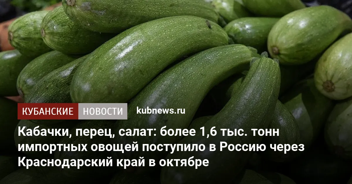 Кабачки, перец, салат: более 1,6 тыс. тонн импортных овощей поступило в Россию через Краснодарский край в октябре