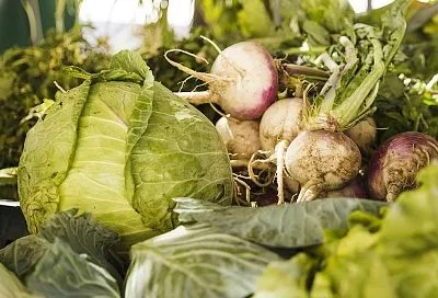 Брось эти семена в землю – и онкология не грозит: вот что реально защищает от рака, другие культуры не нужны