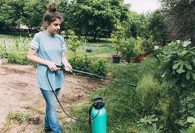 Защищайся правильно: пять принципов обращения с инсектицидами, которые надо знать