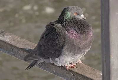 На 10 градусов рухнет температура воздуха в Краснодарском крае