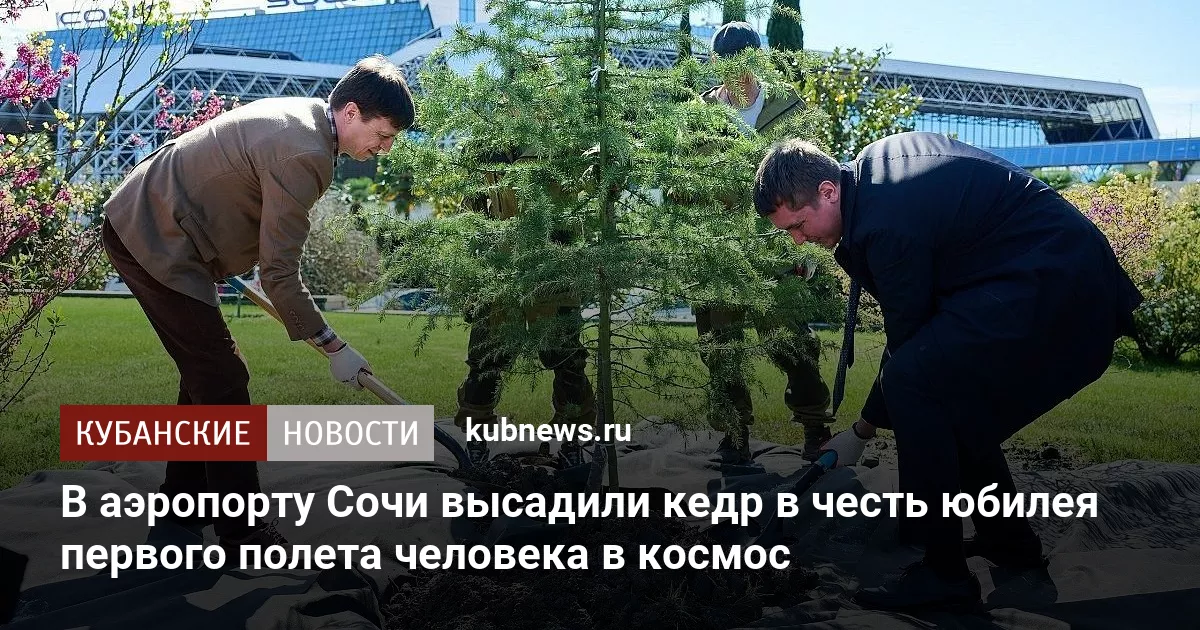 В аэропорту Сочи высадили кедр в честь юбилея первого полета человека в космос