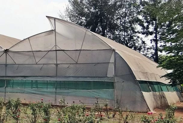 Срочно притени парник этим, и твои растения не сгорят от яркого солнца, а у соседей получат ожоги