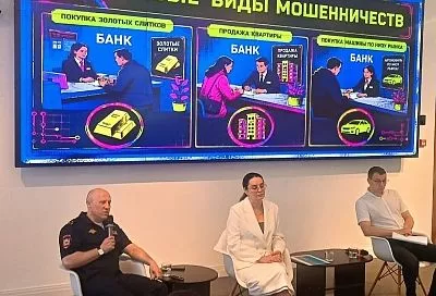 За четыре месяца 2026 года ущерб от киберпреступлений на Кубани снизился на 24%