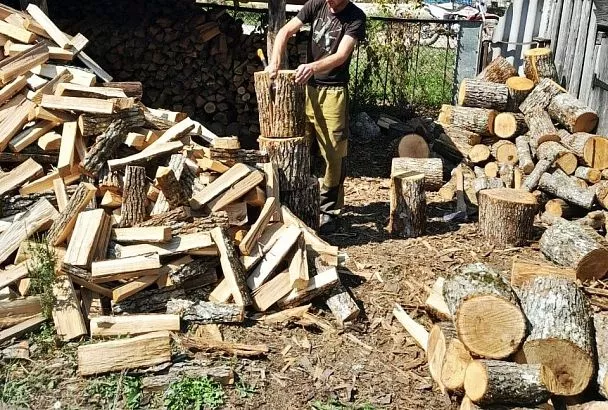 Плечом к плечу: как кубанские казаки помогают фронту 